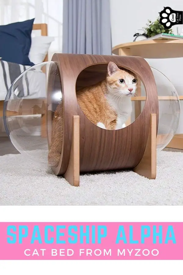 The Spaceship Alpha cat bed is like the big cousin of the Spaceship Gamma cat shelf. It's a delightful spaceship themed cat bed.