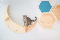 The Luna cat shelf is the delightful counterpart to the Solar cat shelf.  Styled after the moon with lots of space for a large cat to wallow.