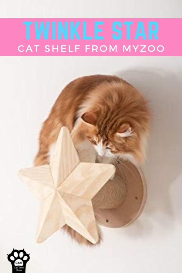 The Twinkle Star cat shelf from MyZoo is an excellent accessory to go with that cat wall you always wanted to build.