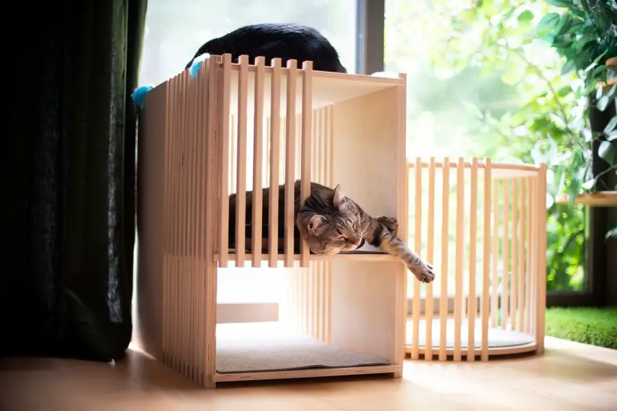 This modern cat house is made with the best quality wood with beautiful slated wood details so your cat has easy visibility while still feeling safe inside their cubby.